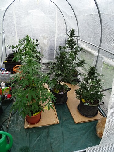 Growreport Bild 4