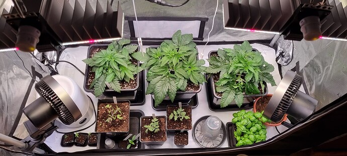 Growreport Bild 2