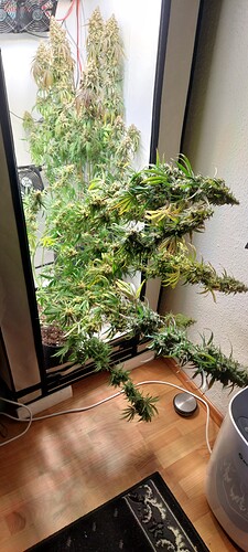 Growreport Bild 2