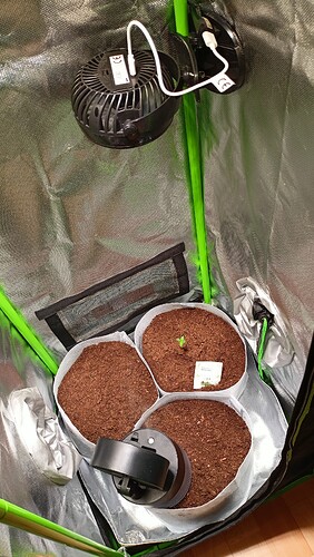 Growreport Bild 29