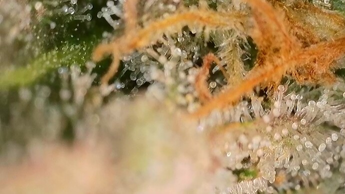 Growreport Bild 14