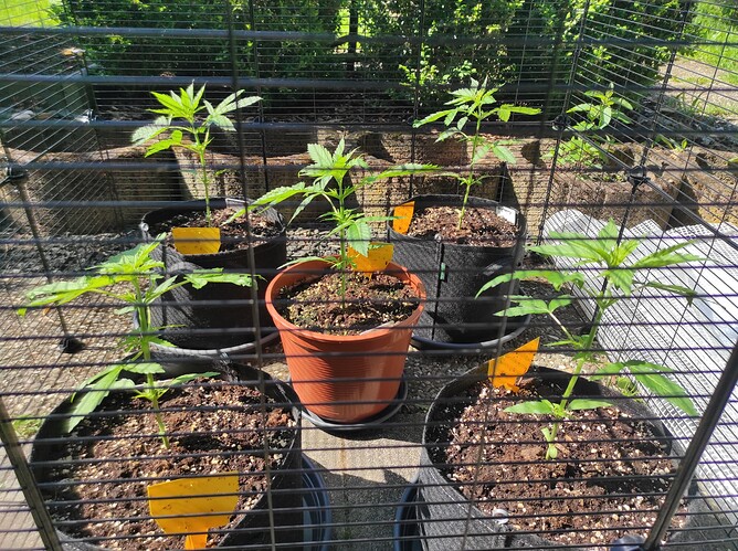 Growreport Bild 3