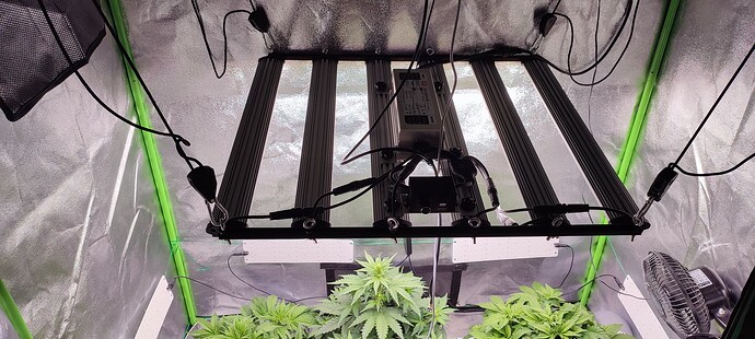 Growreport Bild 1