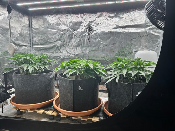 Growreport Bild 2