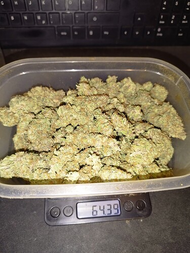 Growreport Bild 4