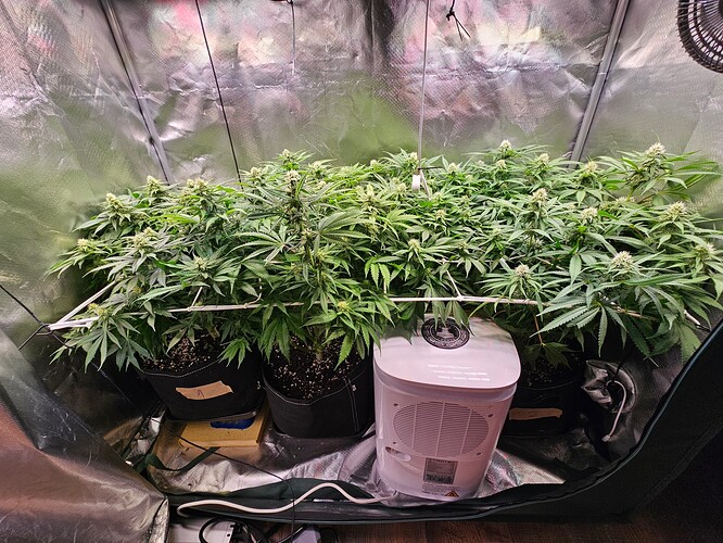 Growreport Bild 3