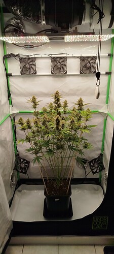 Growreport Bild 14