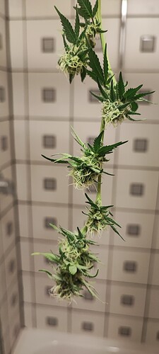 Growreport Bild 16