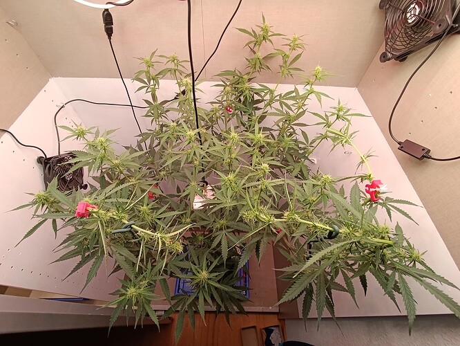 Growreport Bild 22