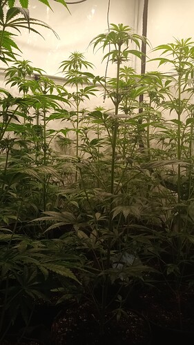 Growreport Bild 6