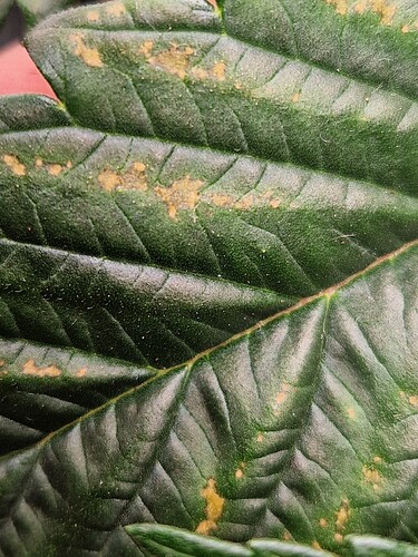 Growreport Bild 23