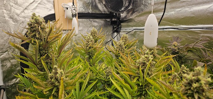Growreport Bild 38