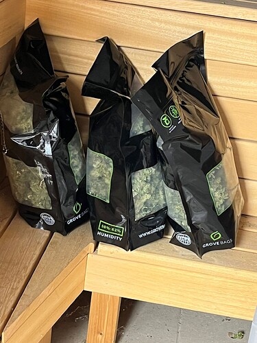 Growreport Bild 23