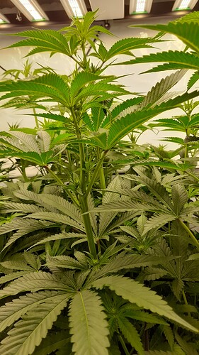 Growreport Bild 14