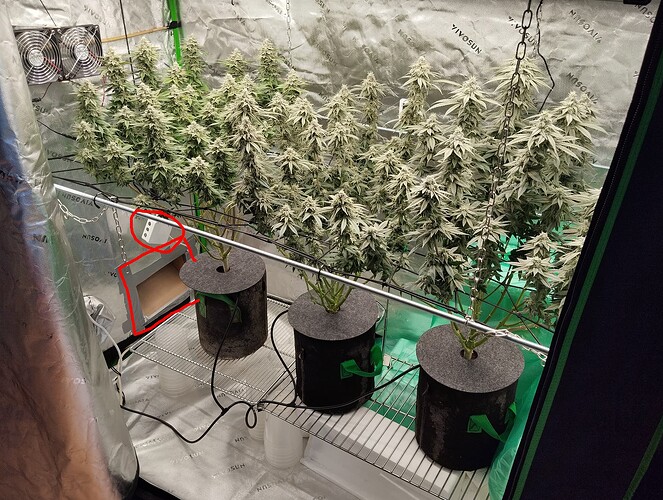 Growreport Bild 2
