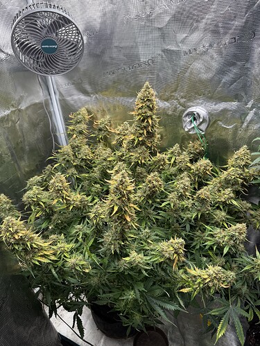 Growreport Bild 30