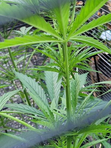 Growreport Bild 9
