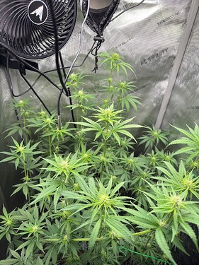 Growreport Bild 7