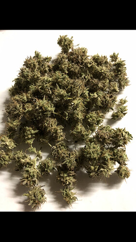 Growreport Bild 7