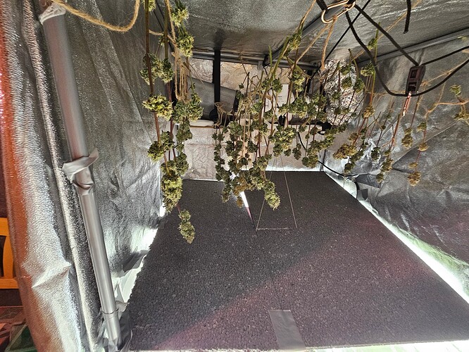 Growreport Bild 4
