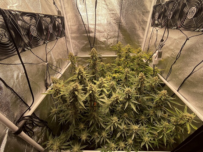 Growreport Bild 3