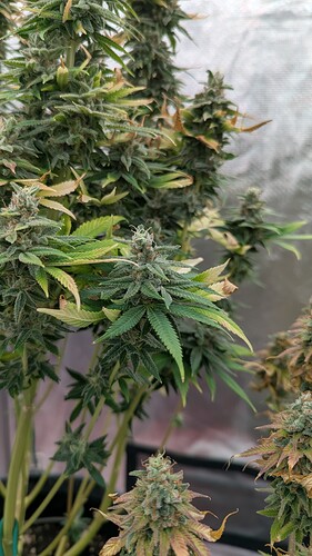 Growreport Bild 11