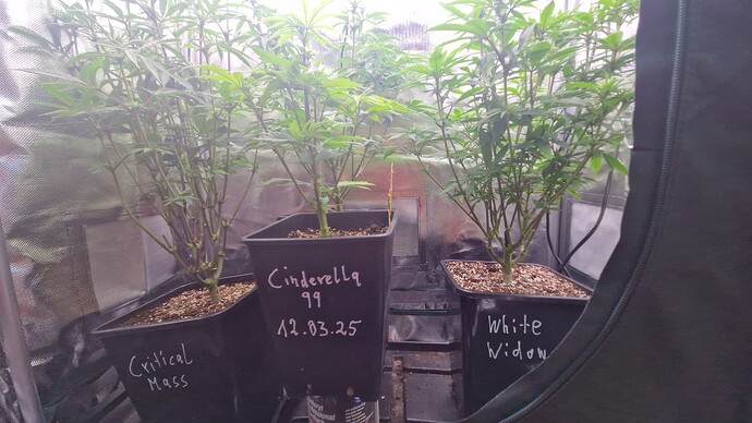 Growreport Bild 2