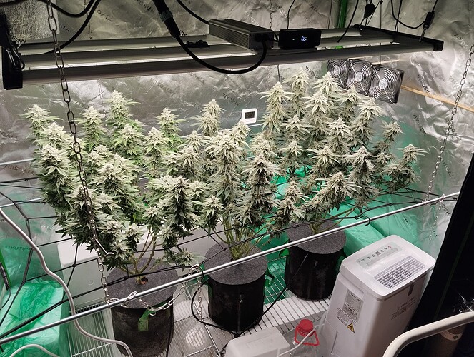 Growreport Bild 7