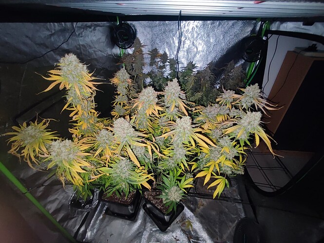 Growreport Bild 26