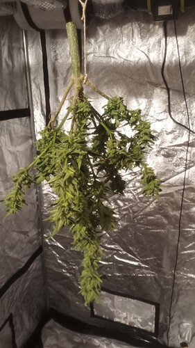 Growreport Bild 5