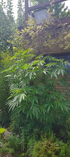 Growreport Bild 11