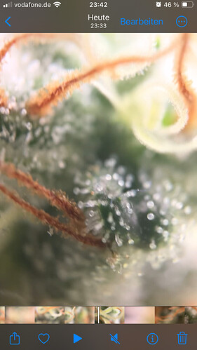 Growreport Bild 12