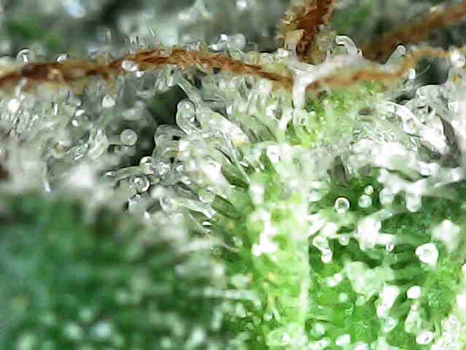 Photo_2025-04-13 16_19_22_752