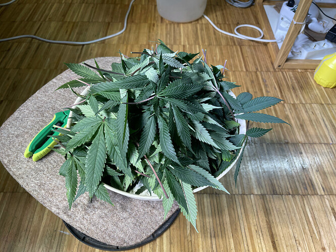 Growreport Bild 32