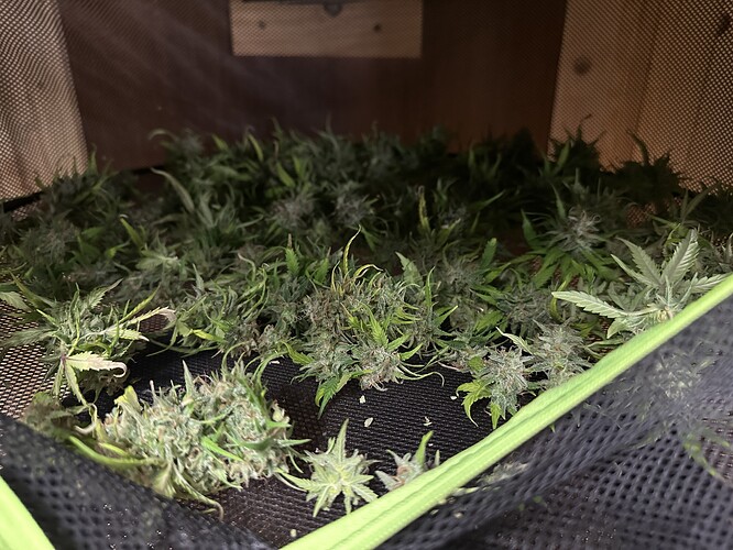 Growreport Bild 98