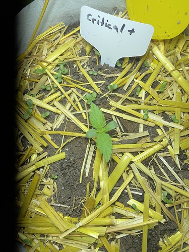 Growreport Bild 3