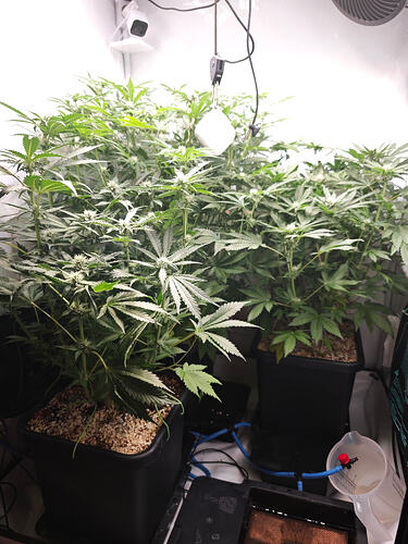 Growreport Bild 13
