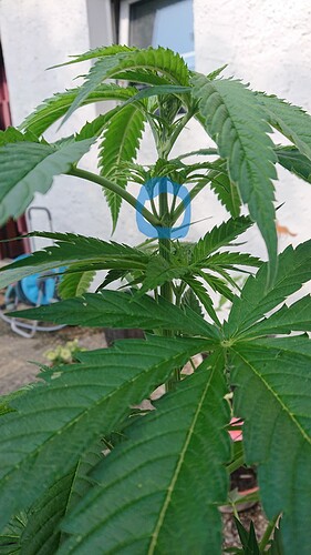 Growreport Bild 12