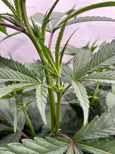 Growreport Bild 8