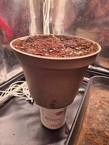 Growreport Bild 4