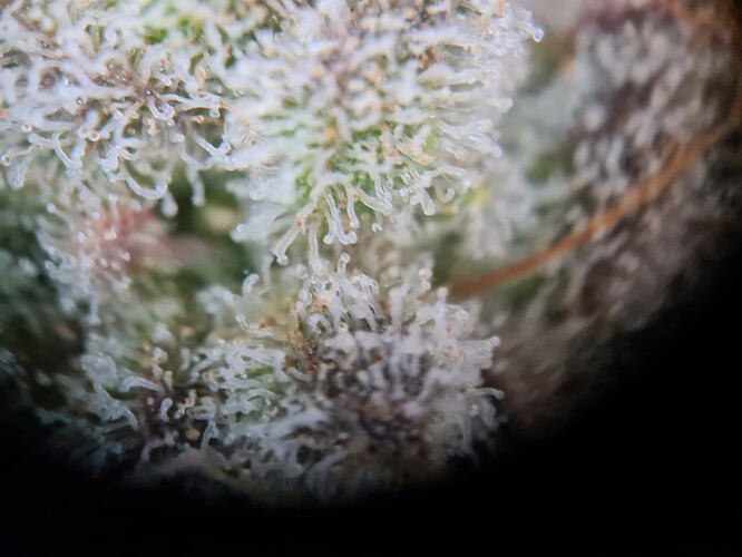 Growreport Bild 20