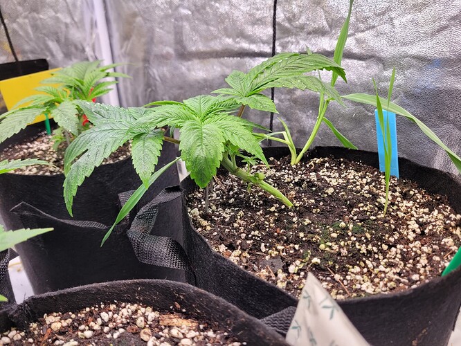 Growreport Bild 12