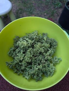 Growreport Bild 21