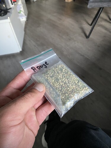 Growreport Bild 64