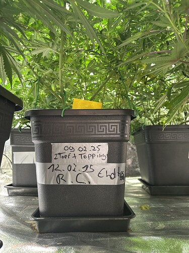 Growreport Bild 17