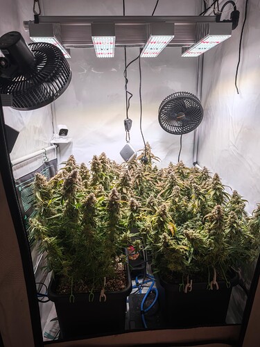 MVIMG_20251128_151114