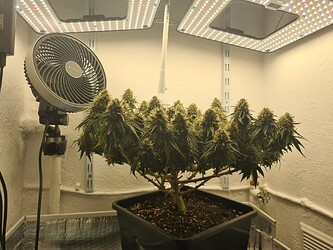 Growreport Bild 3