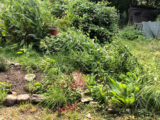 Grow26070311