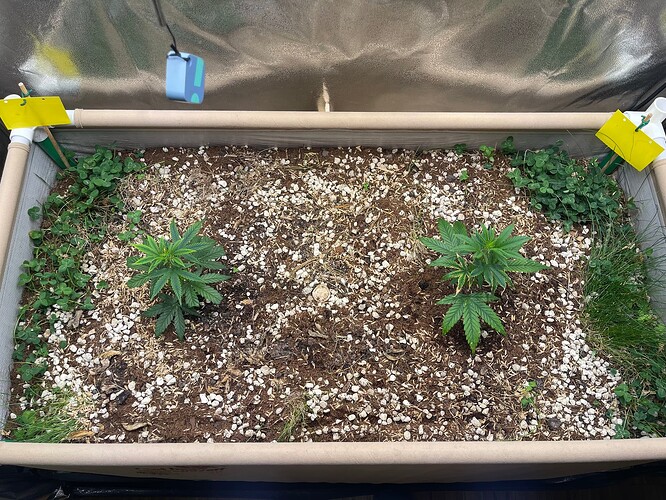 Growreport Bild 30