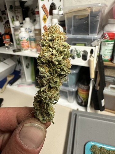 Growreport Bild 34